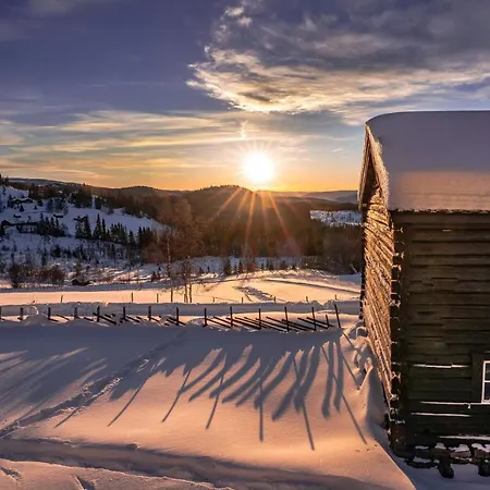 Huso Mountain - Hemsedal Apartman *