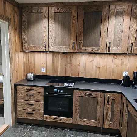 Huso Mountain - Hemsedal Apartamento