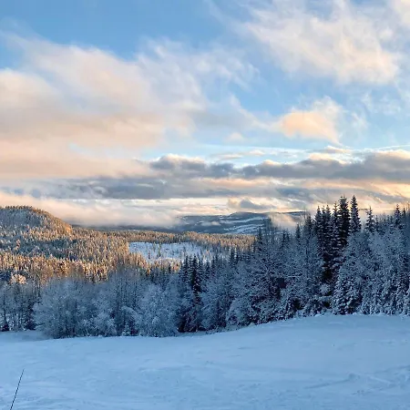 Huso Mountain - Hemsedal Apartman Eikregardane