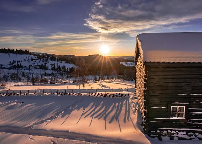 Huso Mountain - Hemsedal Apartment *