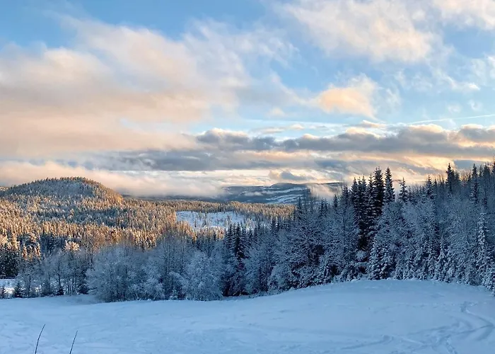 Huso Mountain - Hemsedal Apartment Eikregardane